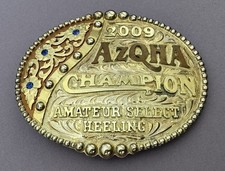 VTG Rare HUGE 2009 AZQHA Arizona Qtr Horse Champion HEELING Trophy Belt Buckle picture