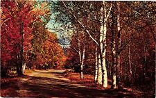 Vintage Postcard- Country Road in Autumn. 1960s picture