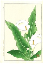 Guaranteed authenticity Kawarazaki Shodo Woodblock print #138 Calla lily Flower picture