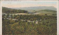 c1920s Postcard West Virginia Martinsburg, WV Scene Near 5228.4 picture