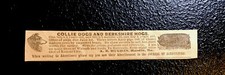 1896 A.B. Hughes Hog Dog Advertising - Hardin - Missouri - Pig - Farm picture