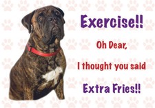 Funny BULLMASTIFF Dog Vinyl Car Van Decal Sticker Pet Animal Lover  picture