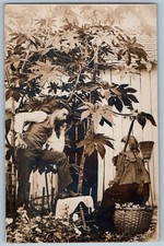 Aitkin Minnesota MN Postcard RPPC Photo Man And Girl Under The Tree 1912 RPO picture