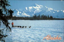 Alaska Mt McKinley Musher Joe Redington dog sled champion huskies 1992 postcard picture