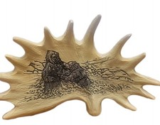 Moose Antler With Etched  Bear Scene 5