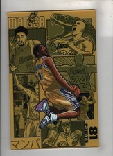 Mamba Acrylic Cover 2/4 Collector Cave Kobe Bryant Waite Hi res Scans picture