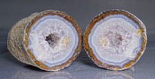 Chinese Fighting Blood Agate Pair Collector Rock Middle Class Mine China picture