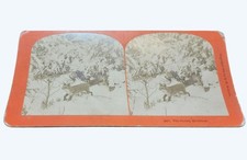 Antique 1889 B W Kilburn Stereoview The Dainty Breakfast Fox & Bird Winter Scene picture