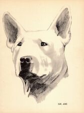 1930s Antique Bull Terrier Print Wall Art Decor Philip Duncan Art 5448t picture