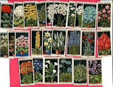 1925 W. D. & H. O. WILLS FLOWER CULTURE IN POTS 25 DIFFERENT TOBACCO CARD LOT picture