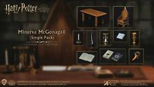 HP Sorcerers Stone Minerva McGonagall Desk 1/6 Figure Accessory Single Star Ace  picture