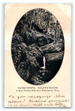 1905 Water Nymph Bailey's Ravine Short Trolley Ride From Willimantic CT - Posted picture