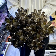 6.6LB New Find black PhantomQuartz Crystal Cluster Mineral Specimen picture