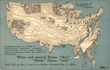 Prohibition propaganda map 1916 Dry Amendments c1910s Vintage Postcard bhn picture