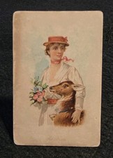 N194 1891 Ws. Kimball, Household Pets, Pet Fawn picture