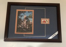 Auburn University Wall Decor Hanging Photo Tigers Alabama Samford Hall Framed picture