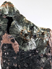 Rare Kidwellite specimen - Coon Creek Mine, Polk County, Arkansas, USA picture