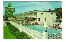 Murphy's Emerald Isle Motor Apartments Virginia Beach VA VTG postcard Unp picture