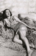Picture Photo 1941 Pinup Vintage Dorothy Lamour 5855 picture