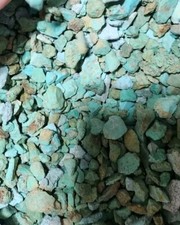 1/4lb Lot Sonora Turquoise Rough Bulk picture