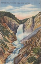 Lower Yellowstone Falls and Canyon WY Linen Postcard picture