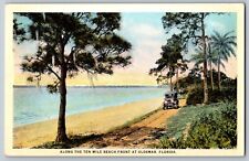 Oldsmar, Florida - Along the Ten Mile Beach Front - Vintage Postcard - Unposted picture
