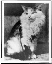 Photo:1916 Cat Portrait Photogravure Frank Eugene Camera Work picture