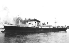 Napier Star 1942 Ship of the Blue Star Line Shipping Co OLD PHOTO picture