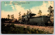 Hauling Cypress Logs to Hebard Cypress Co. Mill Waycross Georgia GA Train c1910 picture