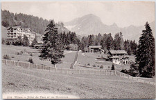 Switzerland Villars Hotel du Parc et les Muverans Chalets Forest 1900 Postcard picture