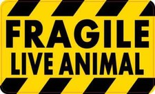 5in x 3in Fragile Live Animal Magnet Car Truck Vehicle Magnetic Sign picture
