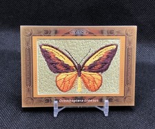 2024 Kakawow Diverse Season 1 ORNITHOPTERA CROESUS ART CARD SSP No. DK-CY-29 🦋 picture