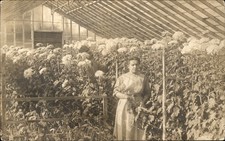 Evanston IL Postmark Woman in greenhouse c1900s-10s Real Photo Postcard bhn picture