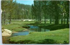 Postcard - Horse Meadow, Kern River Valley, California, USA picture