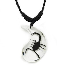 REAL WHITE BLACK SCORPION NECKLACE ACRYLIC PRESERVED SPECIMEN ADJUSTABLE CHAIN picture