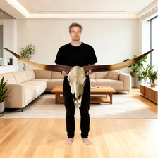 70In Longhorn Wall Decor, Extra Large Authentic Croissant，Cow Skull Wall Decor，C picture