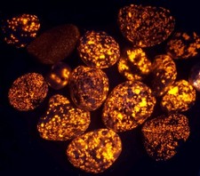 12 Per Lot Yooperlite Stone Super bright Fluorescent Sodalite Lake Superior    picture