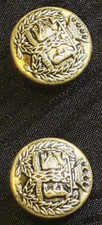 Vintage Gold Crest Buttons Crowned Lion Rampant Laurel Wreath Shank Pair  picture