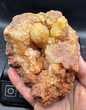 Fossilized Indiana Geode Quartz Crystal 1/2 Agate crinoid calyx 712 Grams picture
