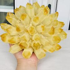 New Find Yellow Phantom Quartz Crystal Cluster Mineral Specimen Healing 4180G picture
