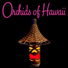 Orchids of Hawaii BL-25B Resin Swag Tiki Bamboo Lamp picture