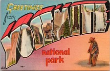 Large Letter Greetings Yosemite National Park California- c1940s Linen Postcard picture