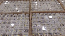 25 Piece Perky Box Thumbnail Mineral Collection picture