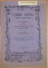 UMBRIA AGRICOLA 15 JUNE 1885 VITICULTURE IMPORT EXPORT WHEAT FERTILIZERS SIENA picture