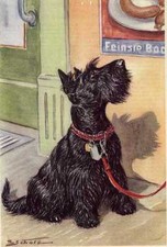 Scottish Terrier - CUSTOM MATTED - Dog Art Print - German / NEW U picture