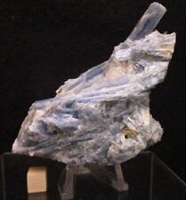Gorgeous Deep Blue Kyanite Crystal Cluster Blades in Quartz, Brazil picture