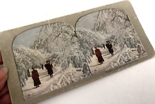 Vtg VICTORIAN Stereoscope StereoView Cards NIAGRA FALLS A Path Amid the Snows picture