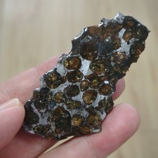 Natural Sericho Pallasite Meteorite Perfect End Cut Perfect Glaze Seal Display picture