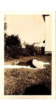 1950s Woman Relaxing Outdoors Photograph Sepia Print Backyard Leisure Aesthetic picture