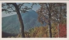 Vintage Blue Ridge Parkway Virginia and North Carolina Postcard picture